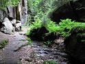 2010-06-12, Uttewalder Grund (32)